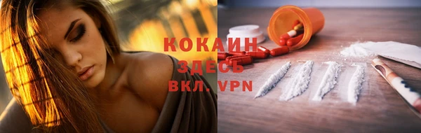 спайс Ладушкин