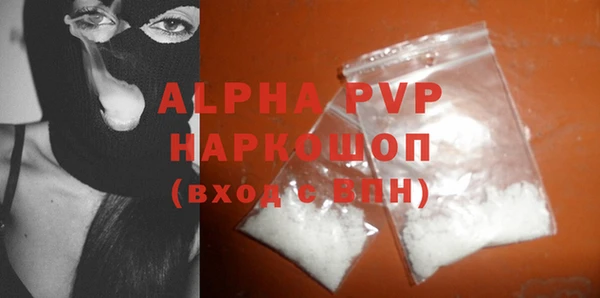 спайс Ладушкин
