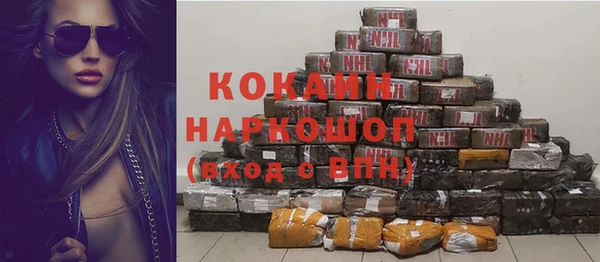 спайс Ладушкин