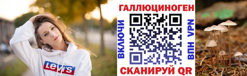 Купить где Бикин Псилоцибиновые грибы мицелий