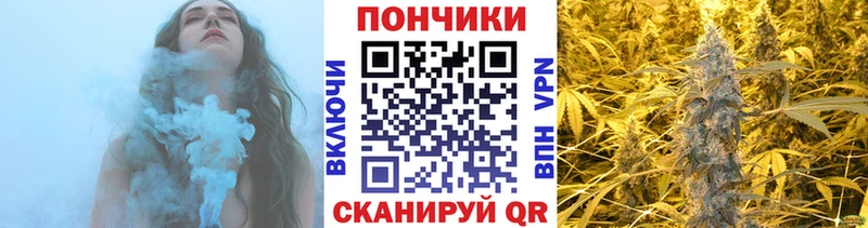 Шишки марихуана семена  Купить  Бикин 